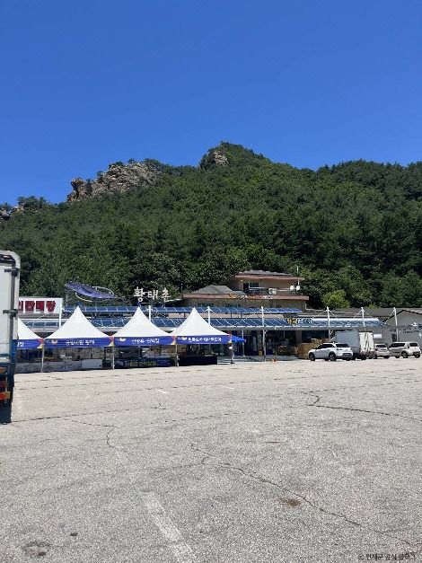 인제_인제 황태마을 (3)