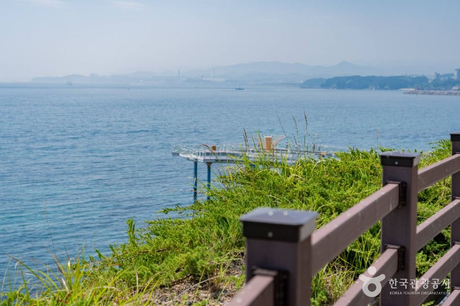 동해_일출공원 (3)