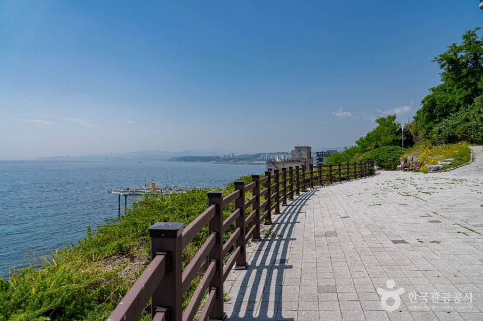 동해_일출공원 (5)