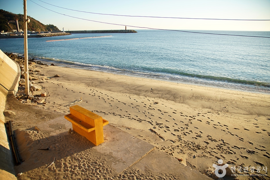 임원해변 (7)