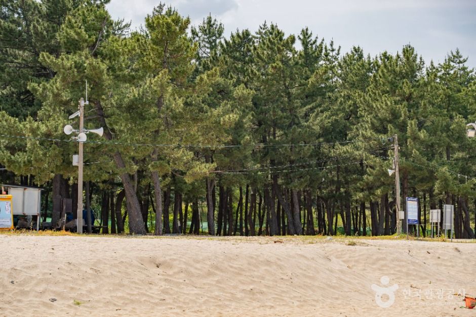 양양_잔교리해수욕장 (3)