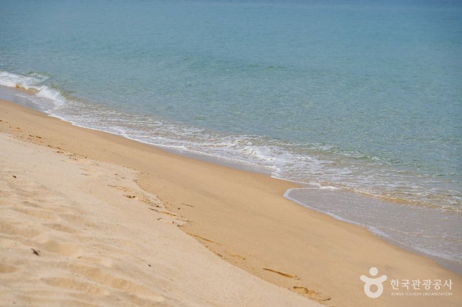 양양_잔교리해수욕장 (5)