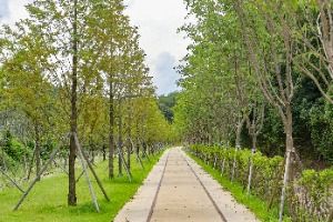 치악산 바람길숲