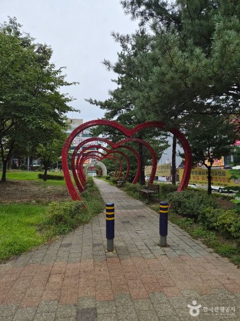 원주_장미공원 (10)