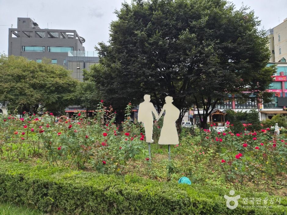 원주_장미공원 (15)