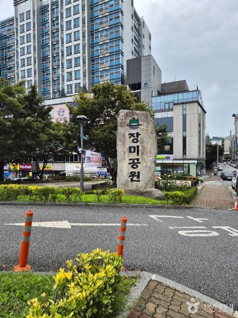 원주_장미공원 (1)