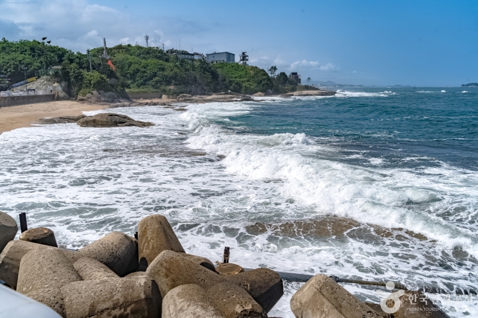 장사어촌체험마을 (12)