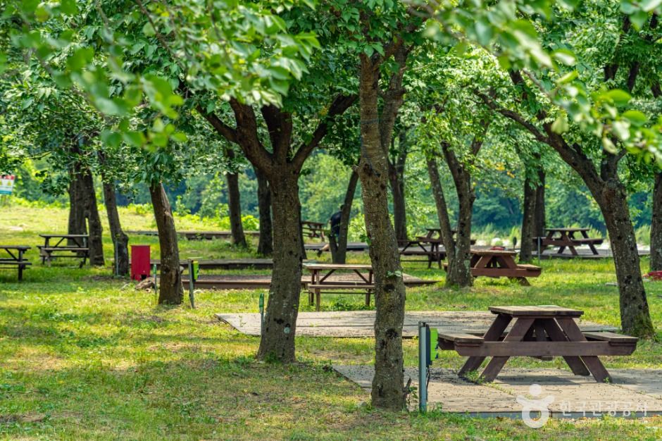 강원고성_장신유원지 (1)