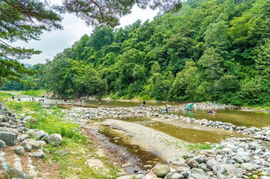 강원고성_장신유원지 (4)