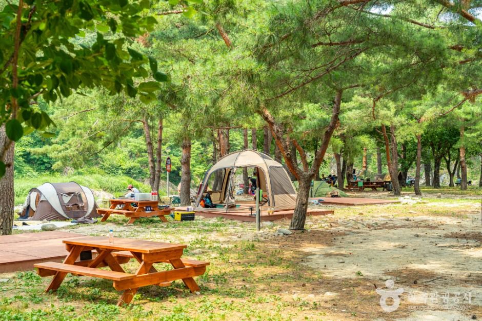 강원고성_장신유원지 (5)