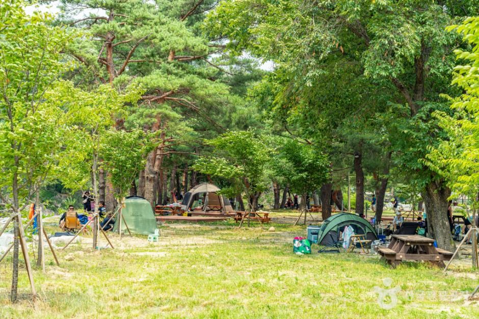 강원고성_장신유원지 (7)