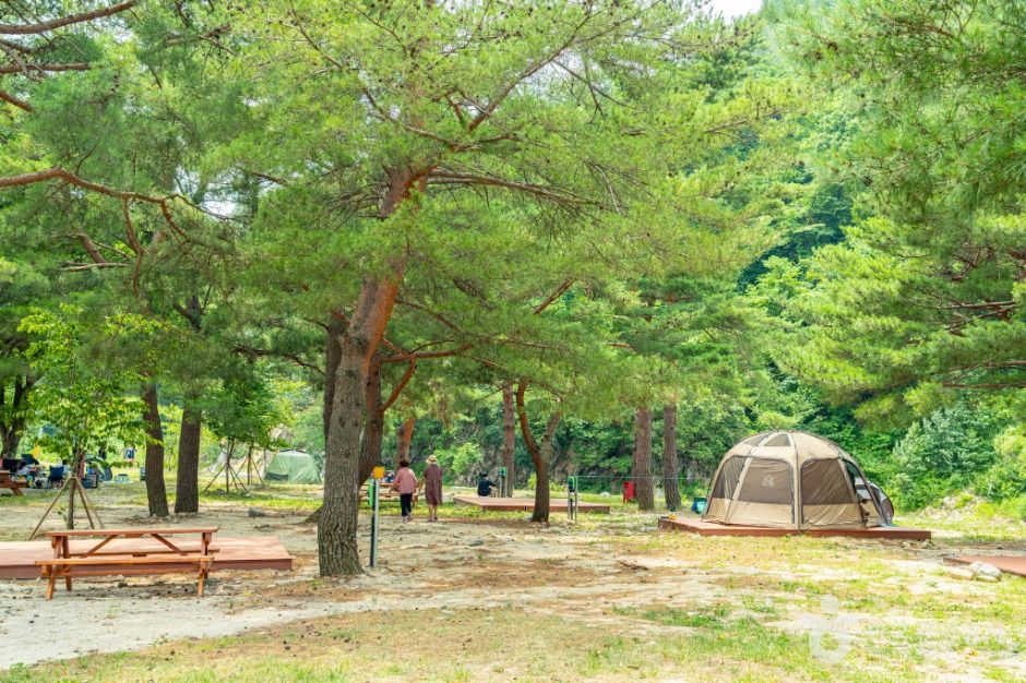 강원고성_장신유원지 (9)