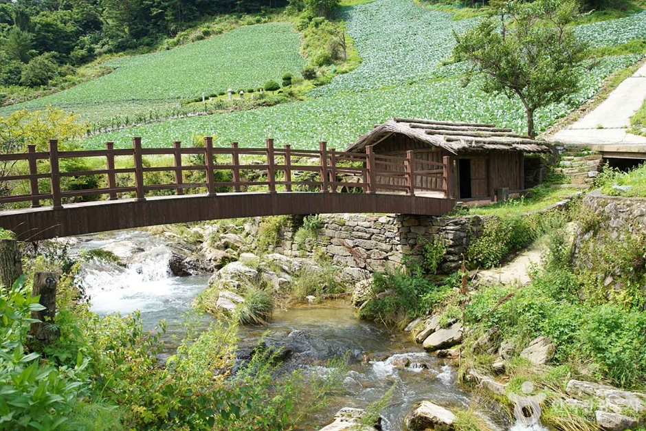 정선백전리물레방아 (24)