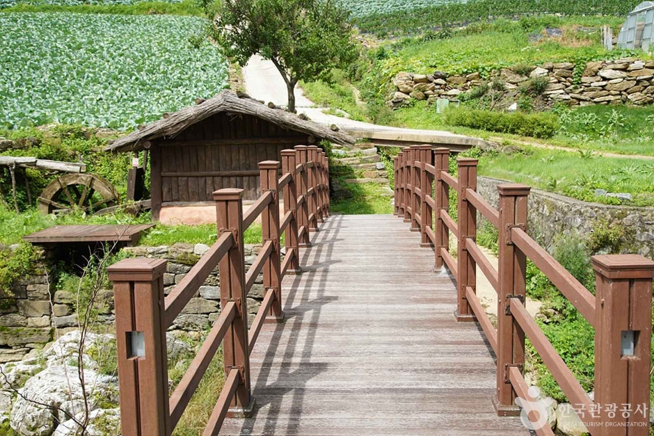 정선백전리물레방아 (06)