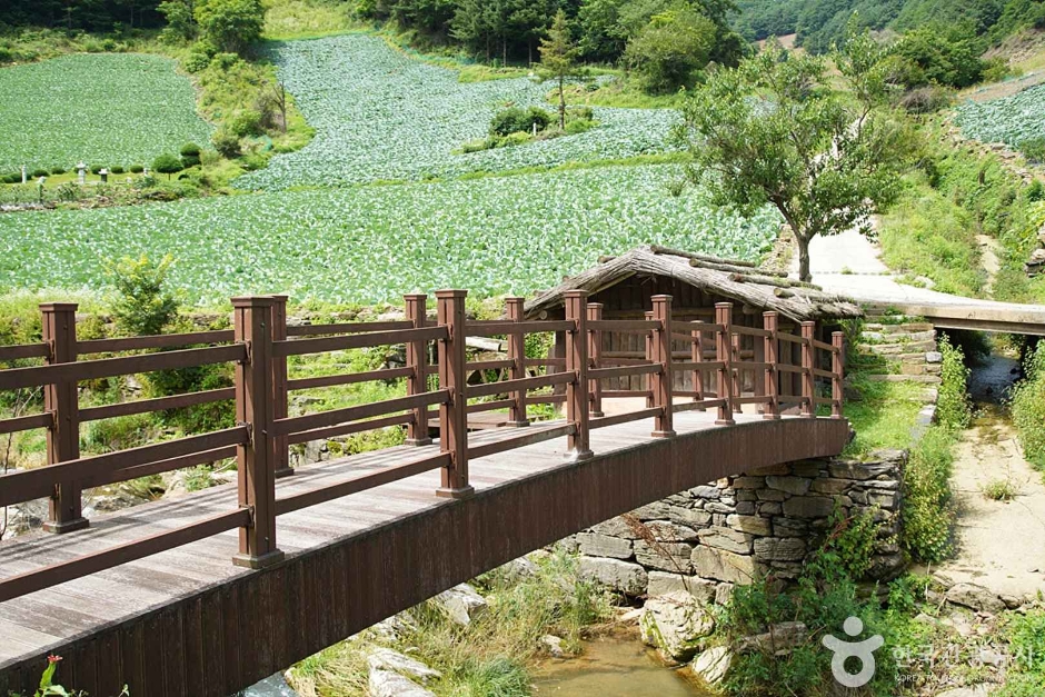 정선백전리물레방아 (23)