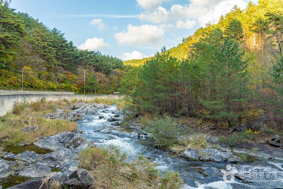 삼척_중봉계곡 (3)