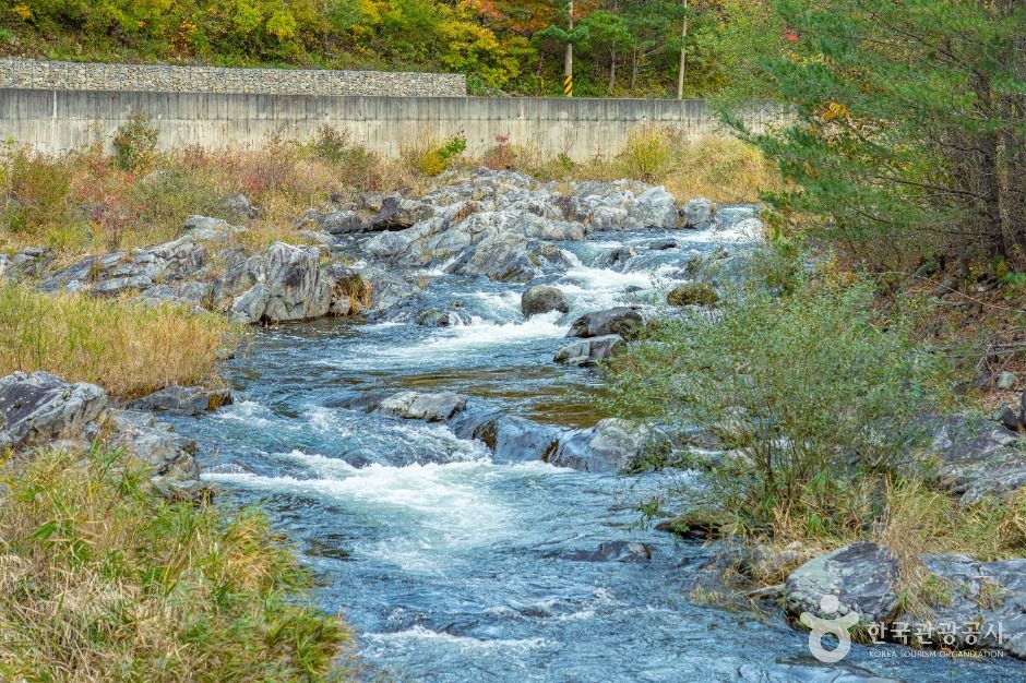 삼척_중봉계곡 (2)