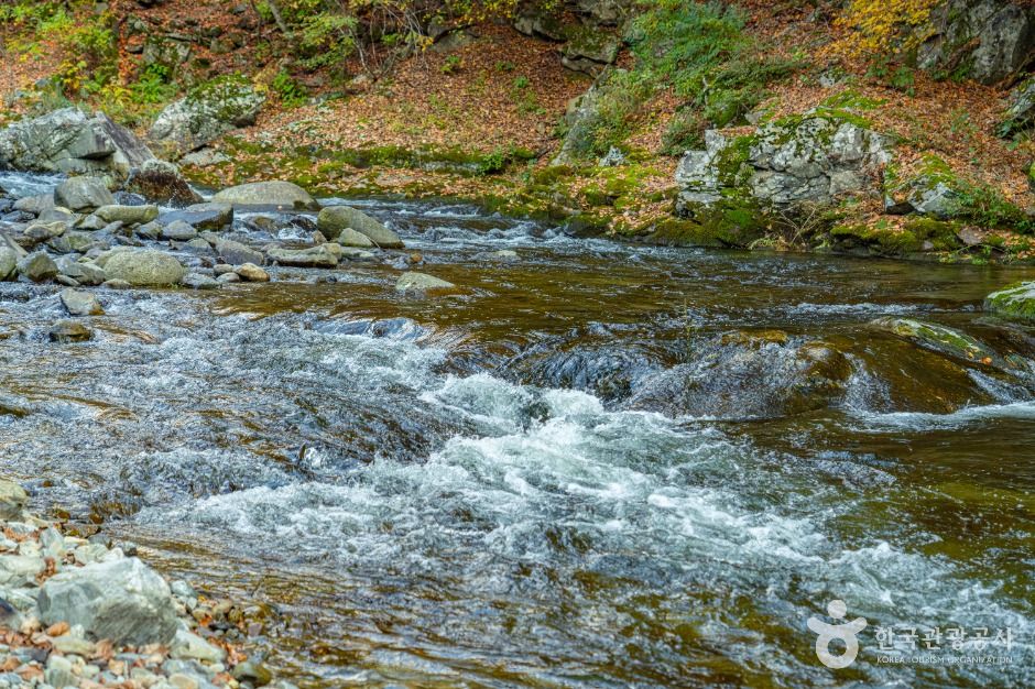 삼척_중봉계곡 (4)
