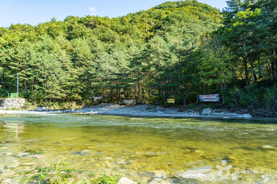 인제_진동계곡 (6)