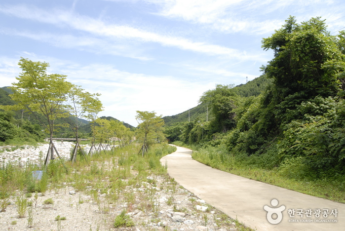 진부령 마을관리유원지_03