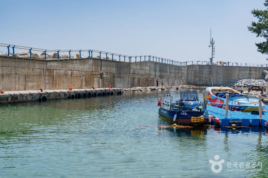 동해_천곡항 (3)