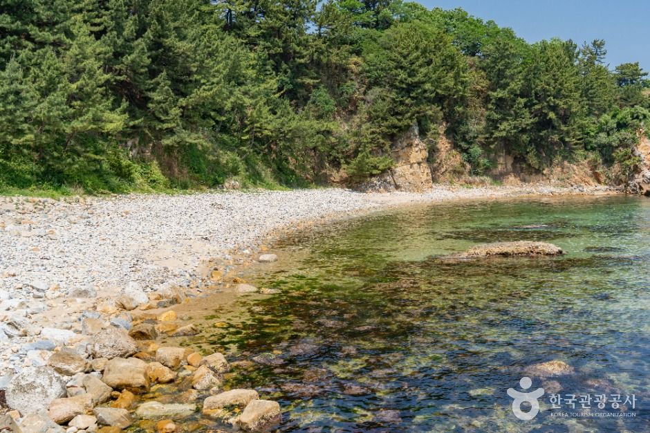 동해_천곡항 (5)