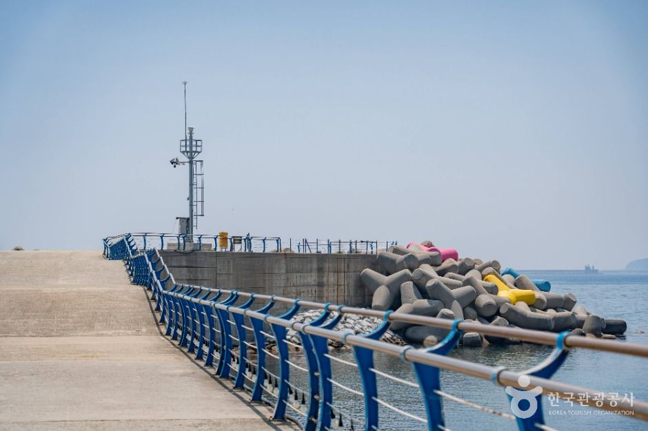 동해_천곡항 (7)