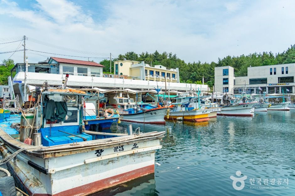 강원고성_천학정 문암포구 (7)