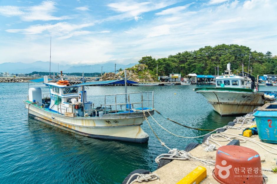 강원고성_천학정 문암포구 (11)