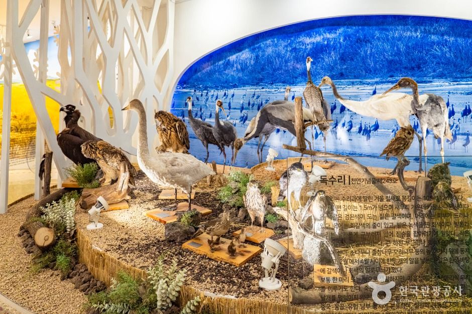 철원_철원관광정보센터 (8)