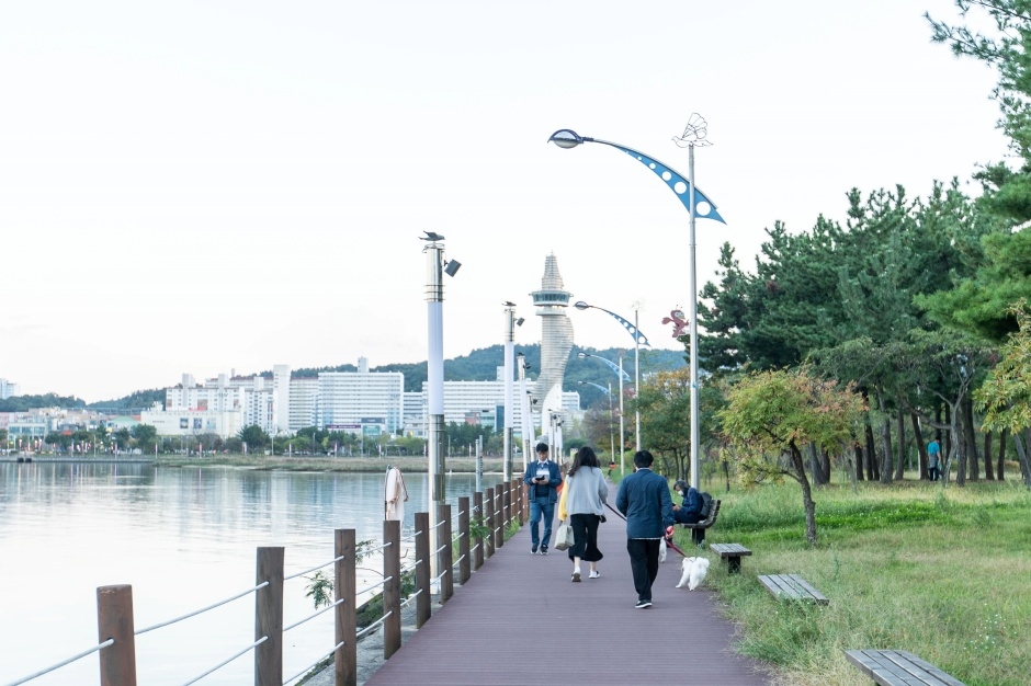 청초호 호수공원_2