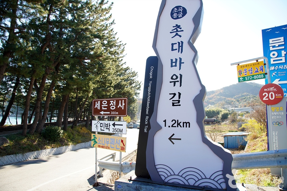 초곡해수욕장 (8)