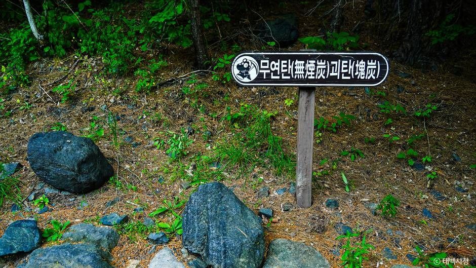 태백_최초석탄발견지탑 (4)