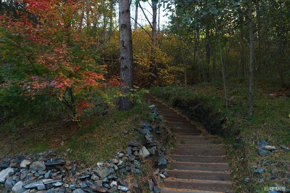 태백_최초석탄발견지탑 (2)