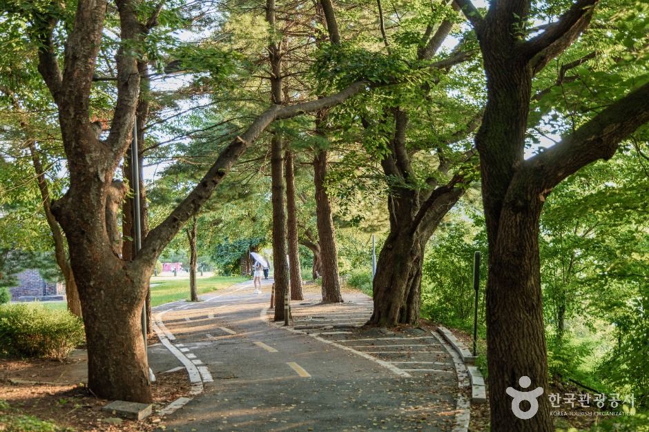 춘천_춘천시 수변공원 (7)