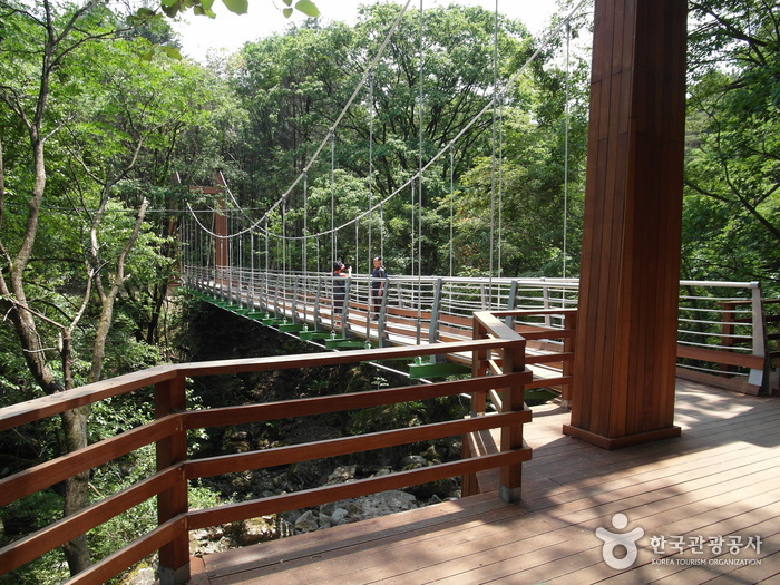 강원_원주_치악산국립공원_구룡사 다리05