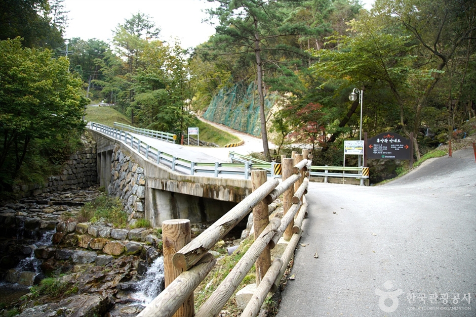 치악산자연휴양림 (26)