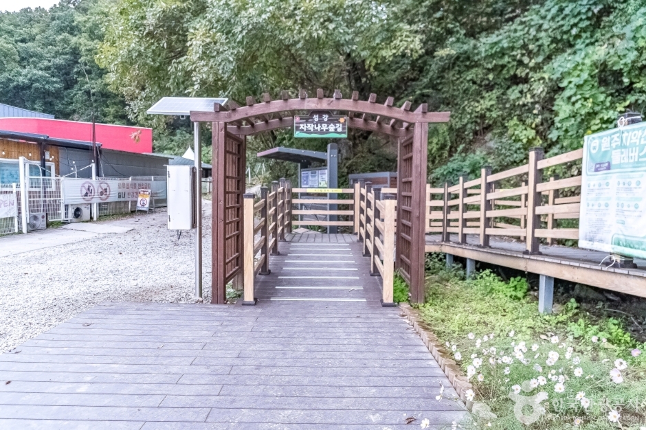 칠봉체육공원 (11)