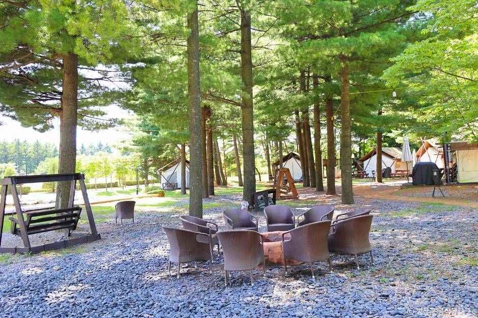 평창_켄싱턴 프렌치 가든 (3)