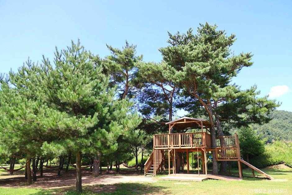 평창_켄싱턴 프렌치 가든 (4)