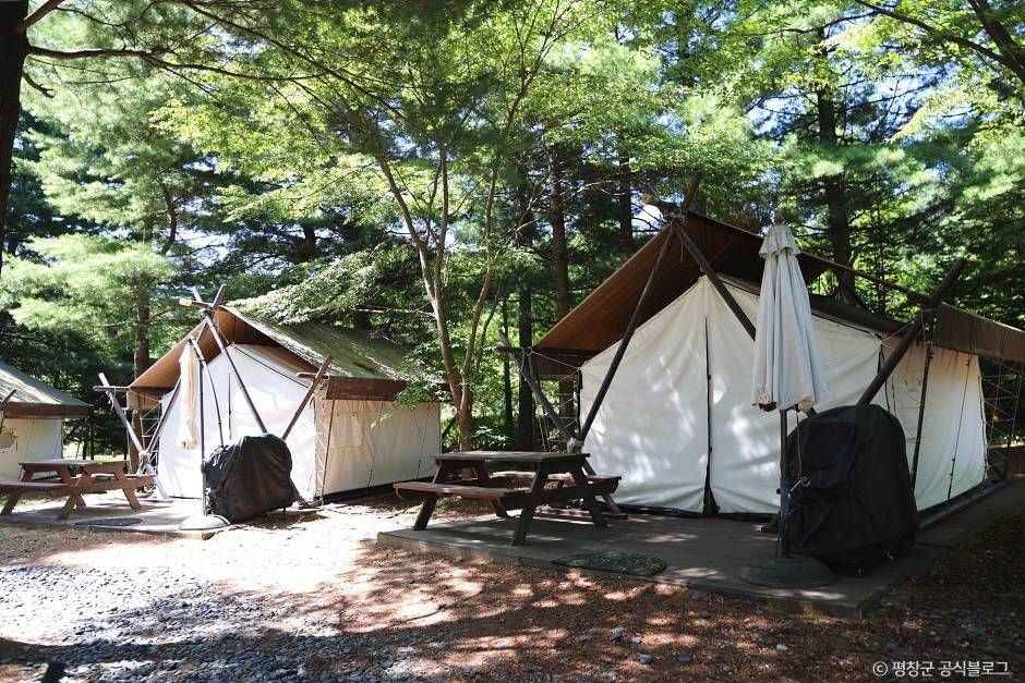 평창_켄싱턴 프렌치 가든 (5)