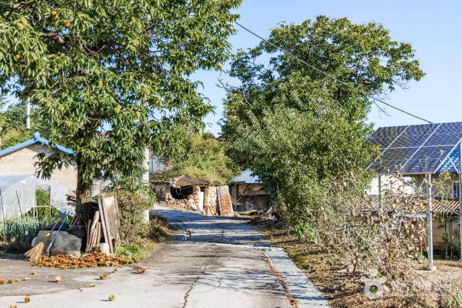 철원_토성민속마을 (7)