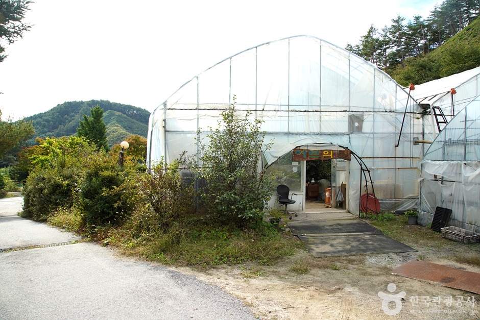 홍천 아로마 허브동산 (5)