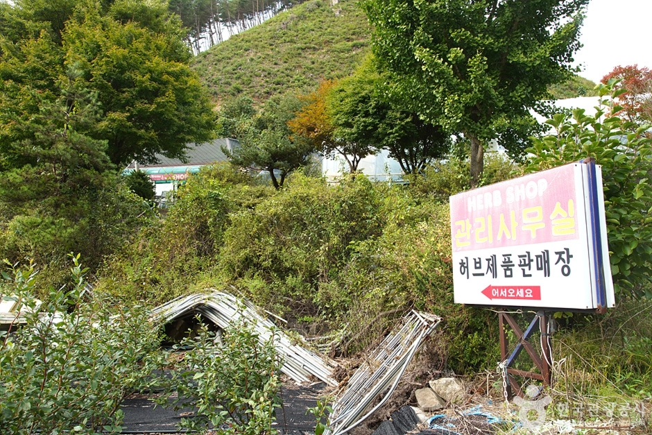 홍천 아로마 허브동산 (15)