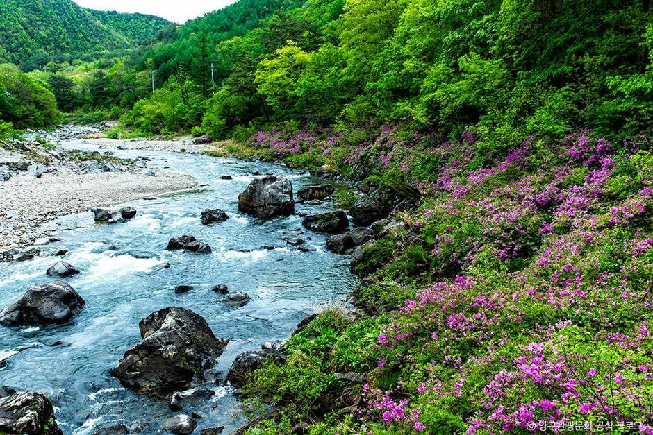 양구_파서탕 (2)