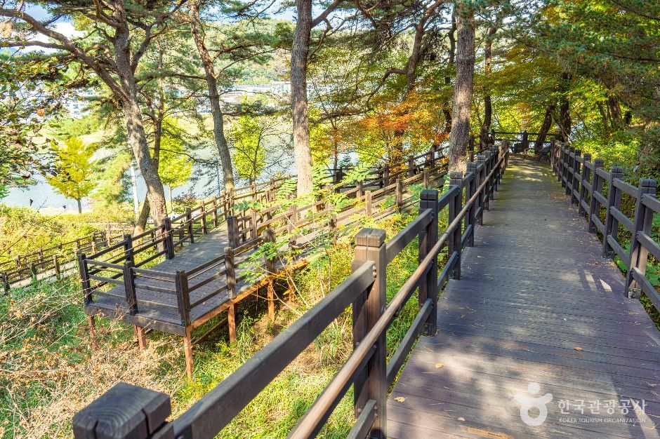 평창_평창 남산 둘레길 (3)