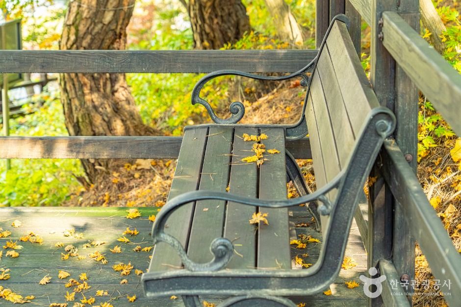 평창_평창 남산 둘레길 (4)