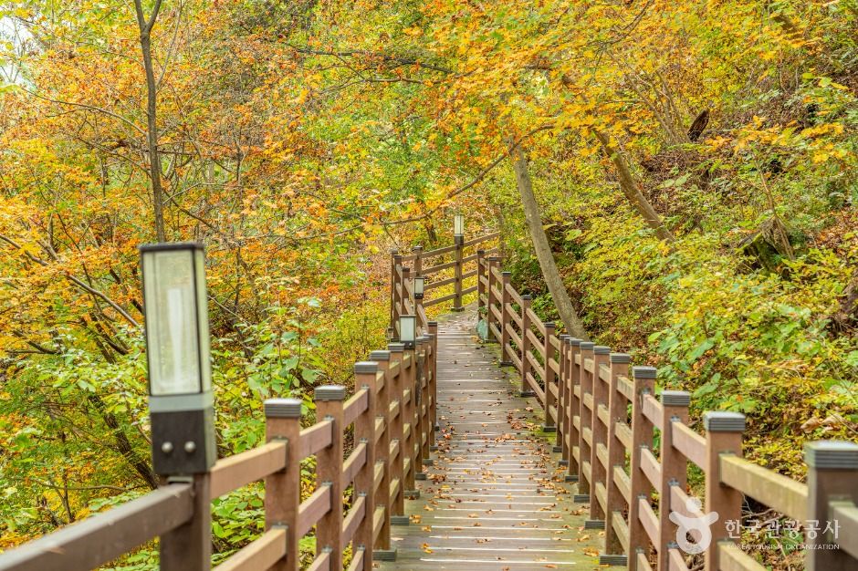 평창_평창 남산 둘레길 (7)
