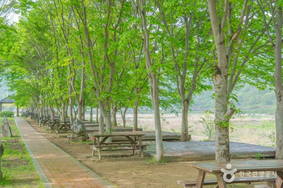 평창_평창 바위공원 (4)