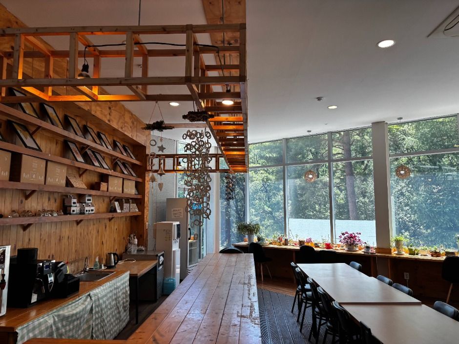 원주_피노키오청소년수련원(피노키오 캠핑장) (9)